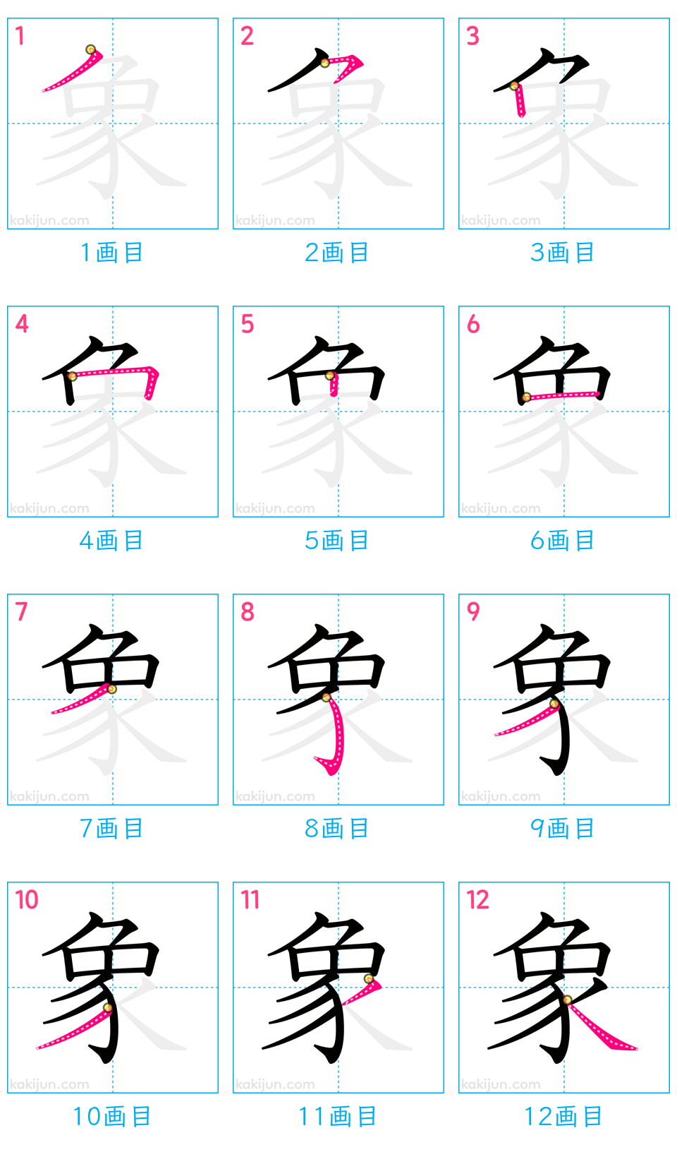 「象」の書き順（画数）