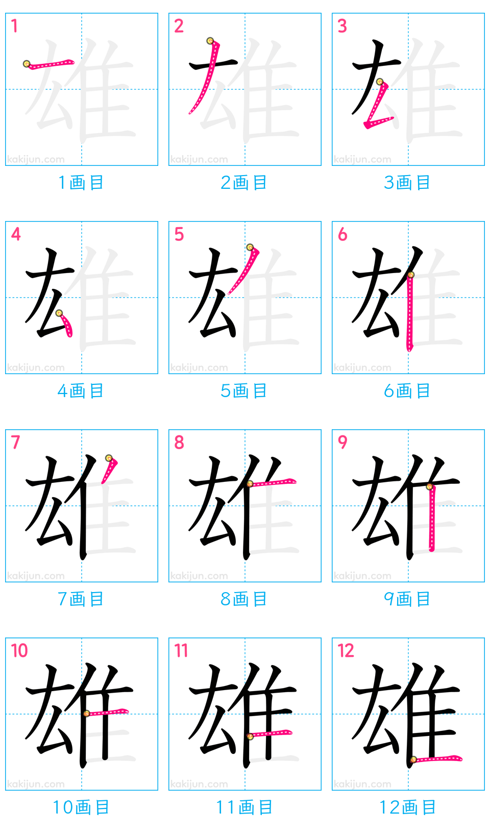 「雄」の書き順（画数）