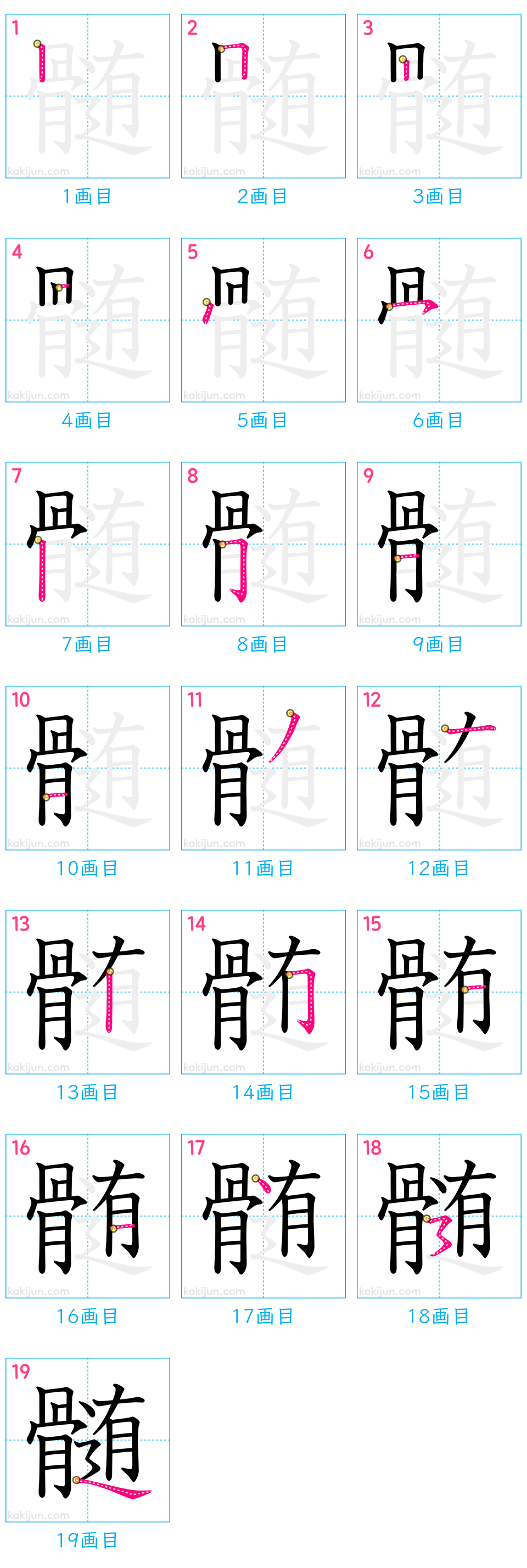 「髄」の書き順（画数）