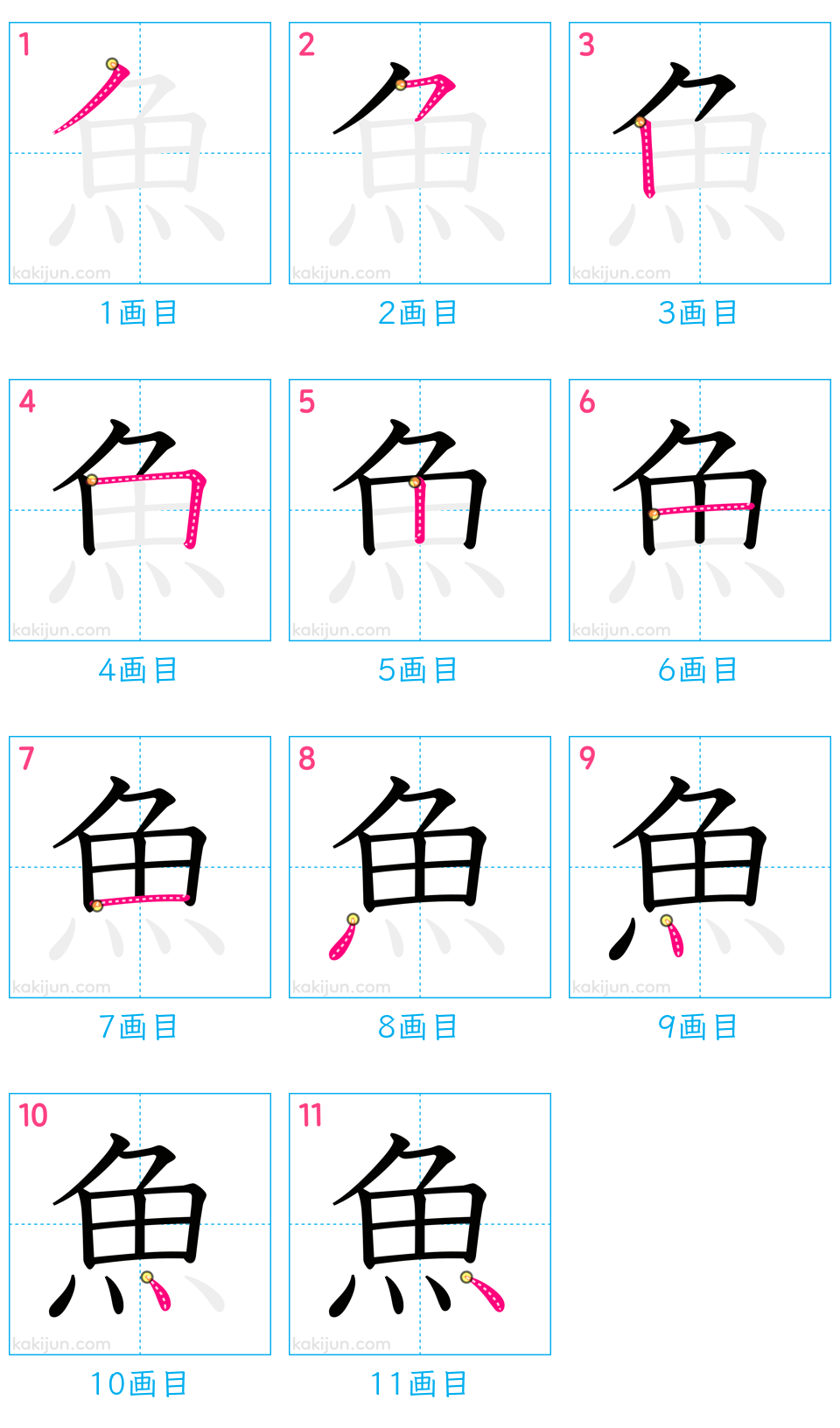 「魚」の書き順（画数）