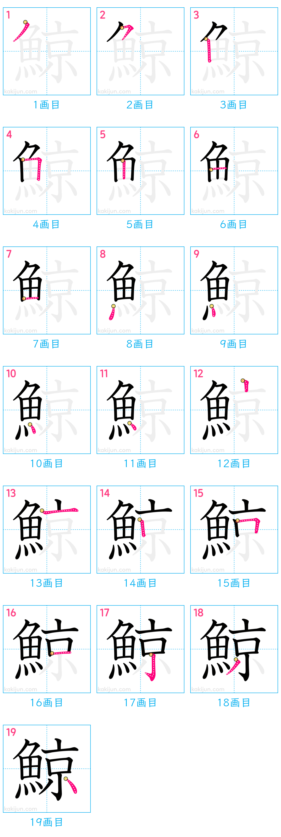 「鯨」の書き順（画数）