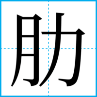 肋