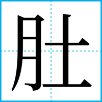 肚