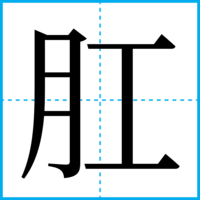 肛