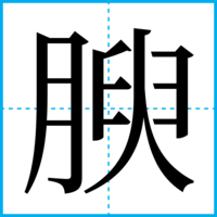 腴