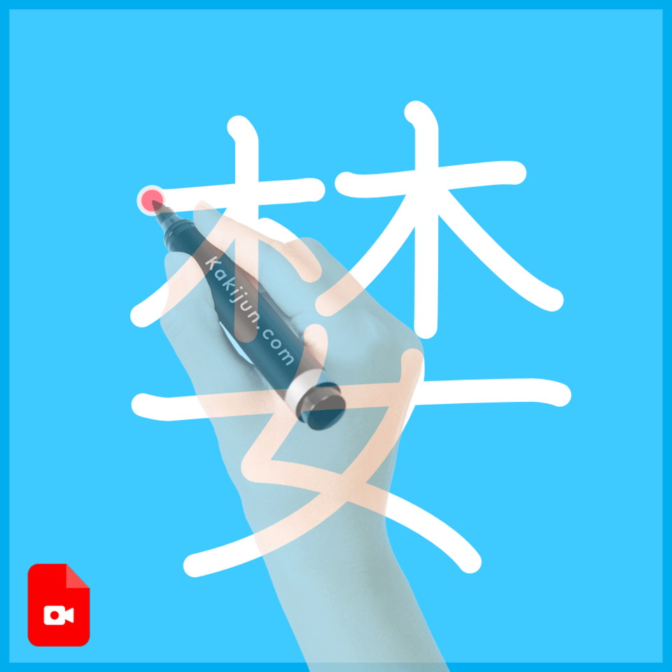 「婪」の書き順