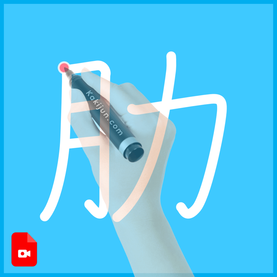 「肋」の書き順