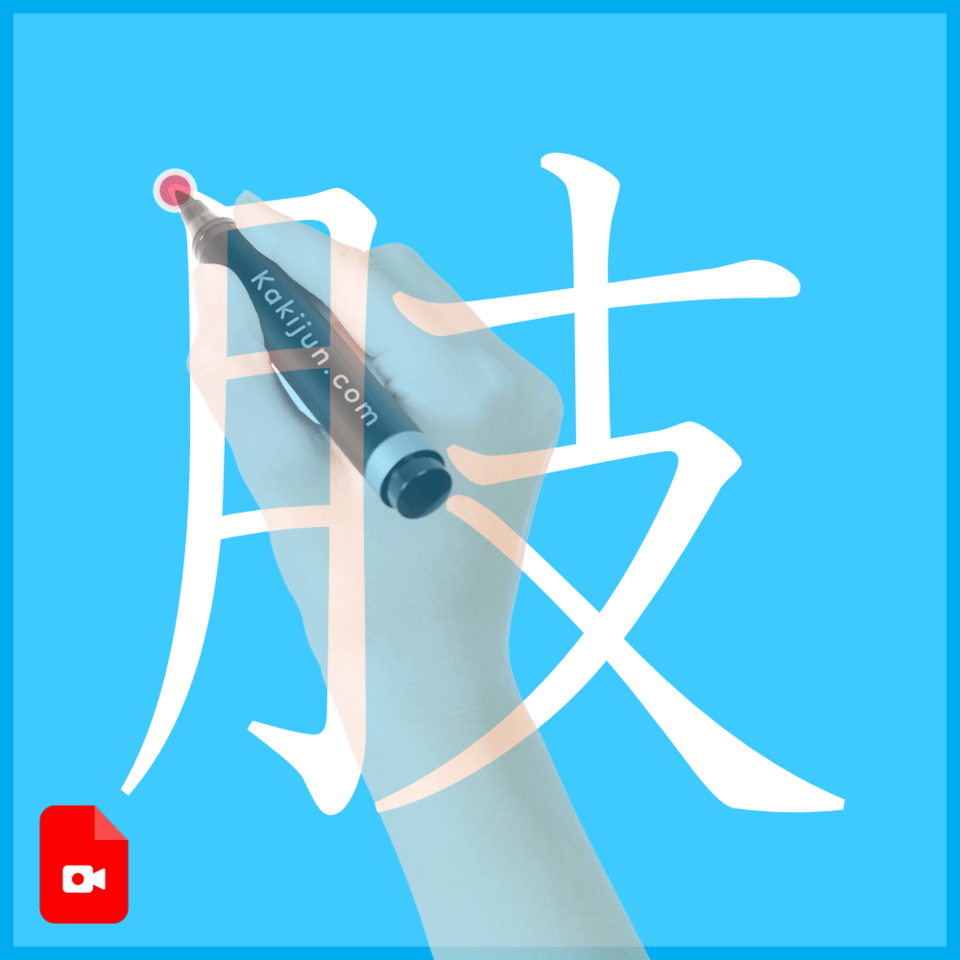 「肢」の書き方