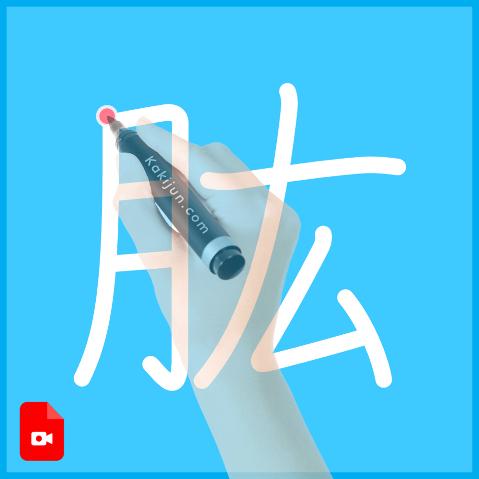 「肱」の書き方