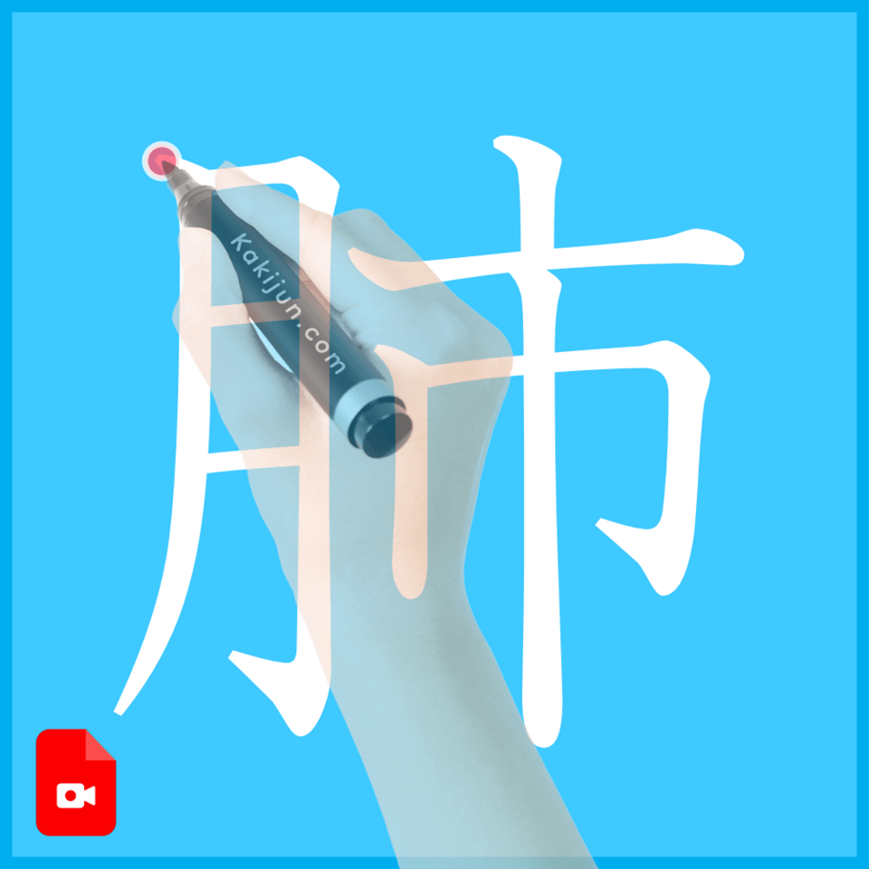 「肺」の書き方