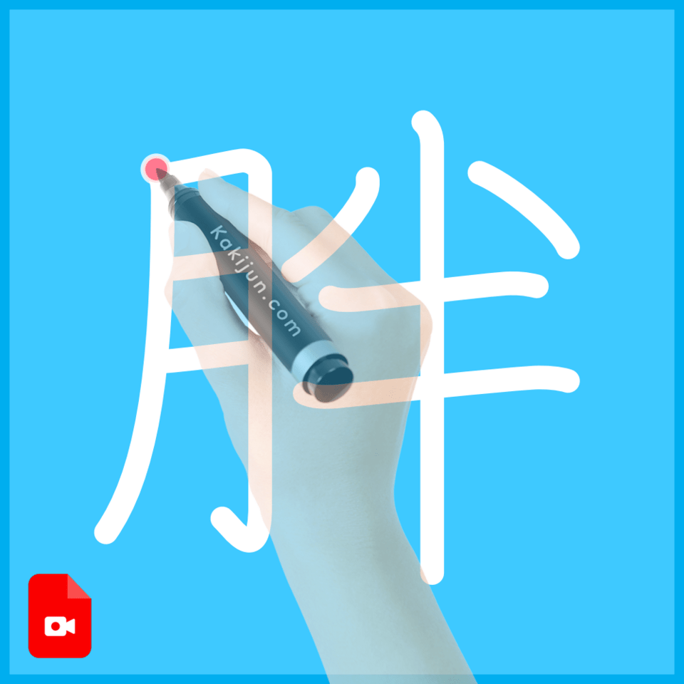 「胖」の書き方