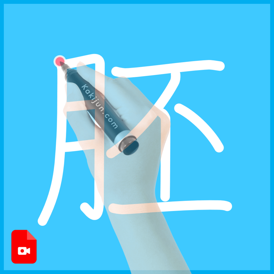 「胚」の書き方