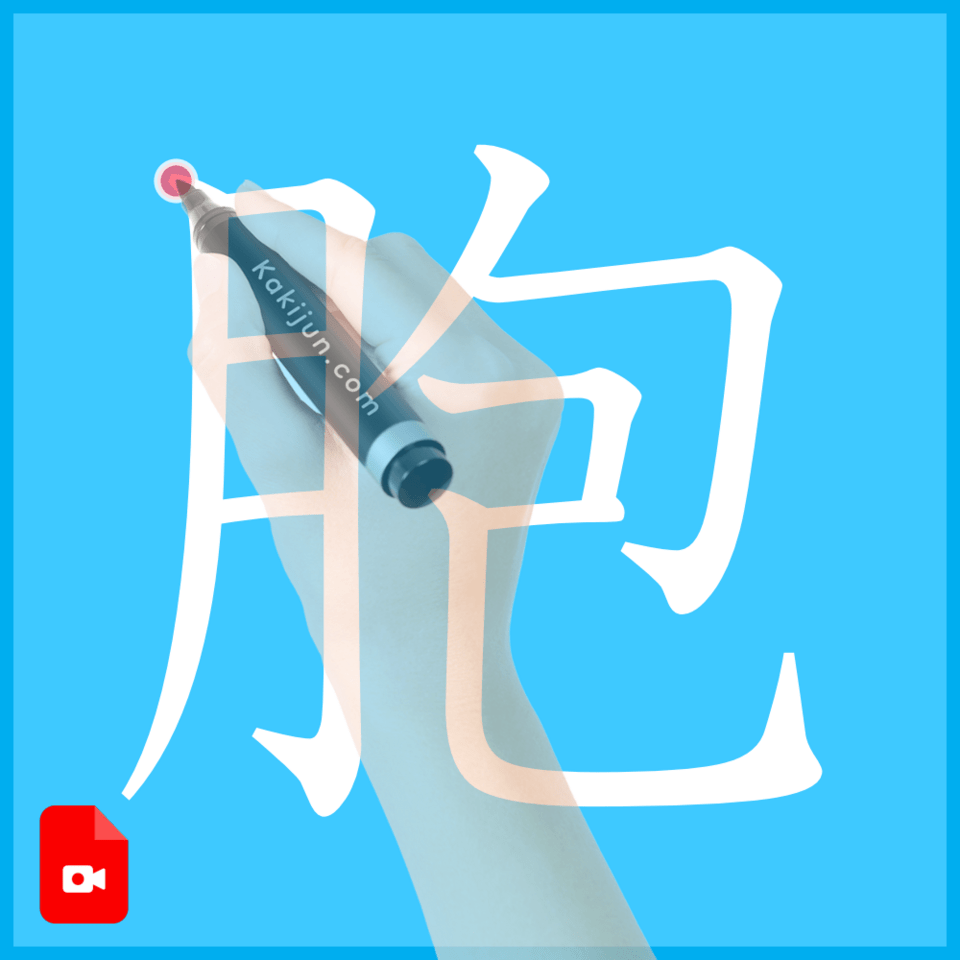 「胞」の書き方