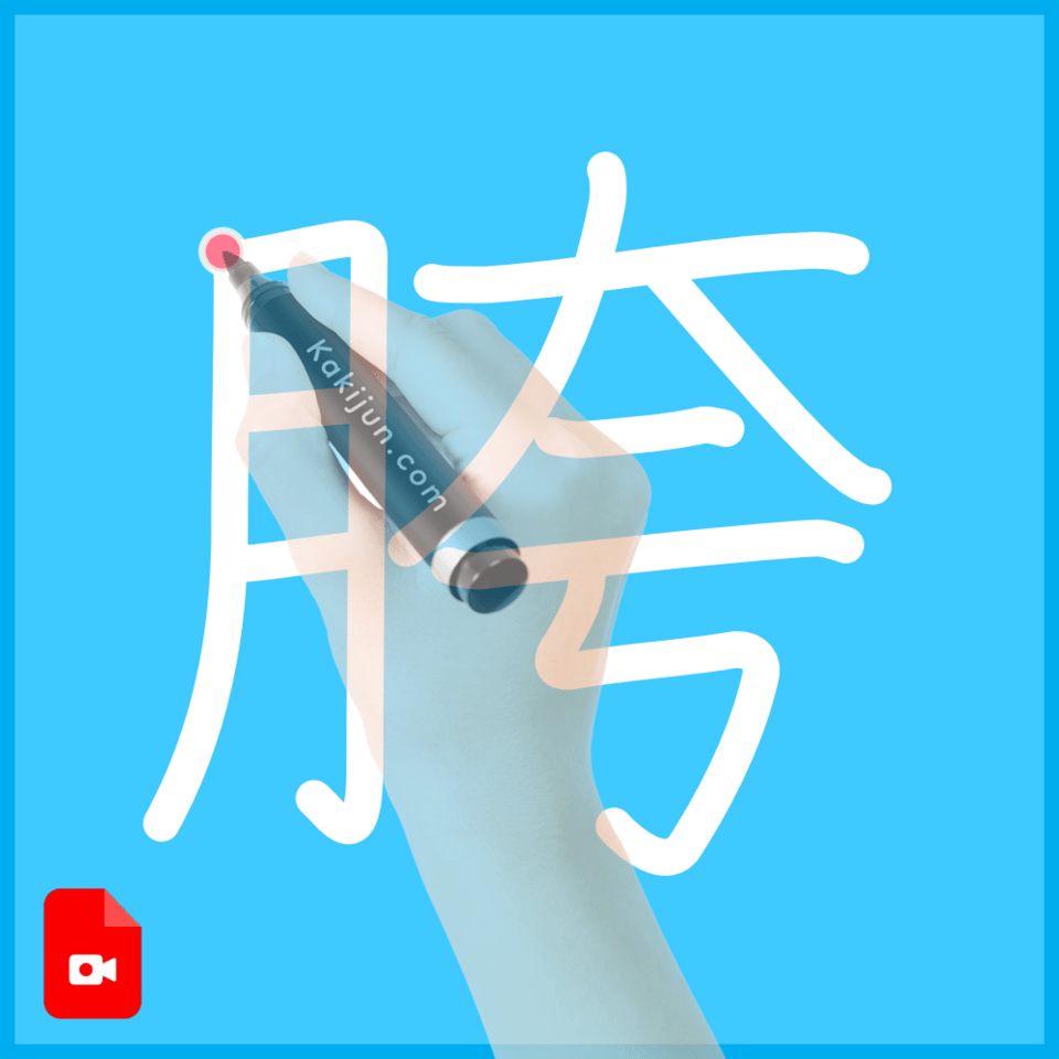 「胯」の書き順