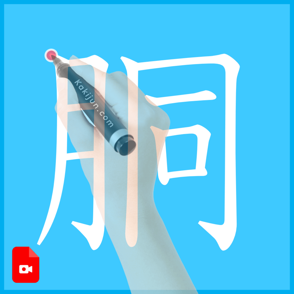 「胴」の書き方