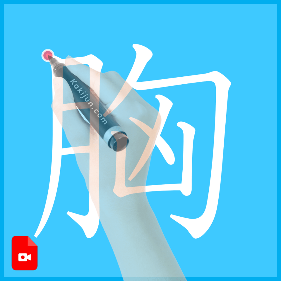 「胸」の書き方