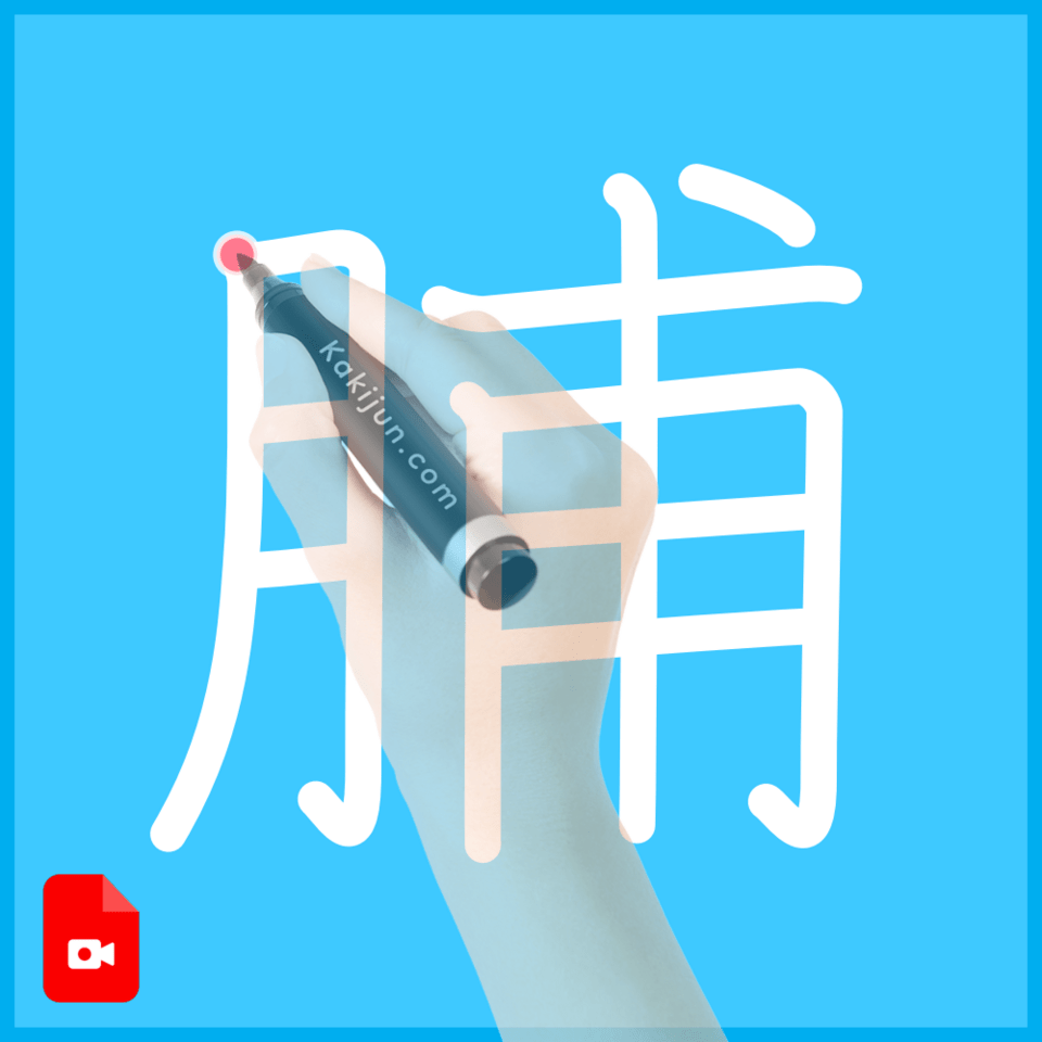 「脯」の書き方