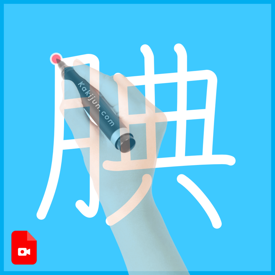 「腆」の書き順