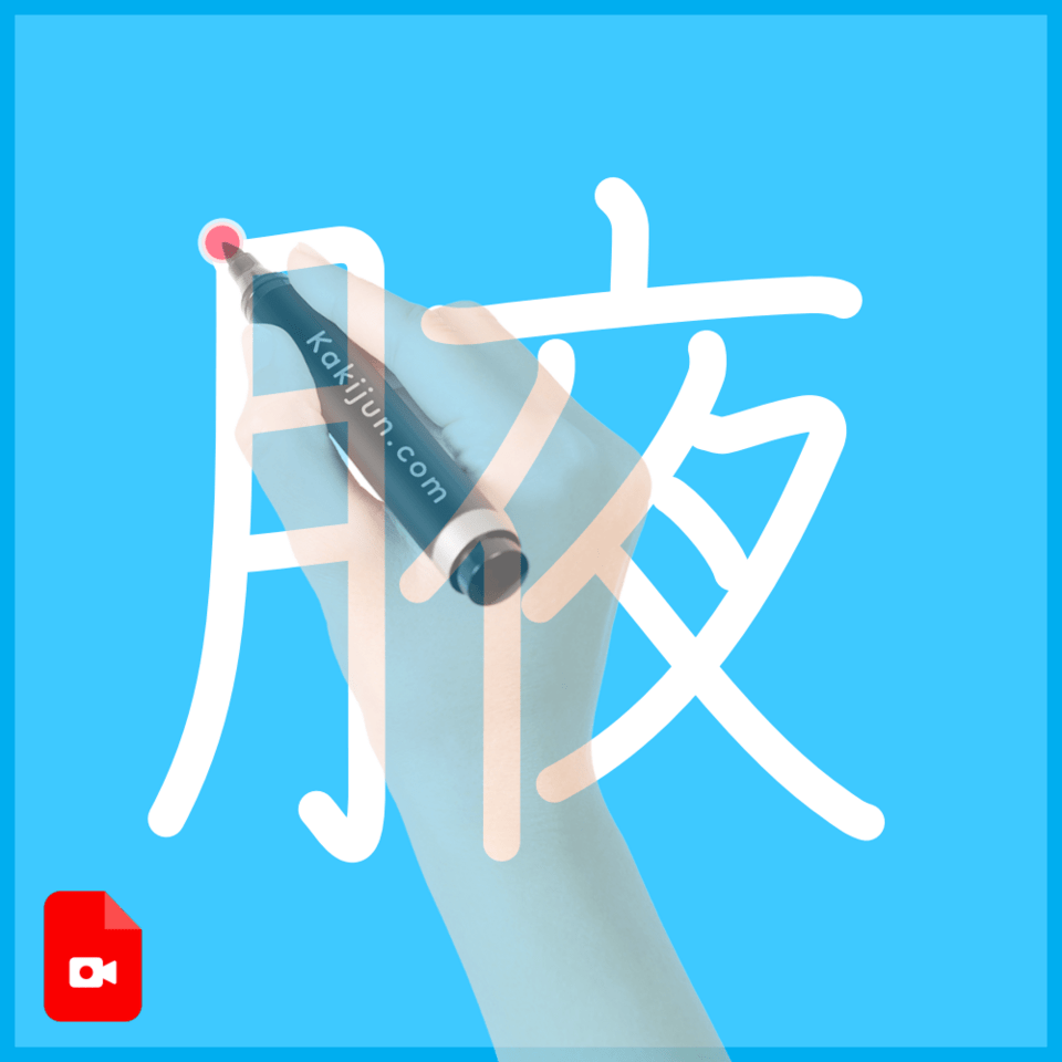 「腋」の書き方