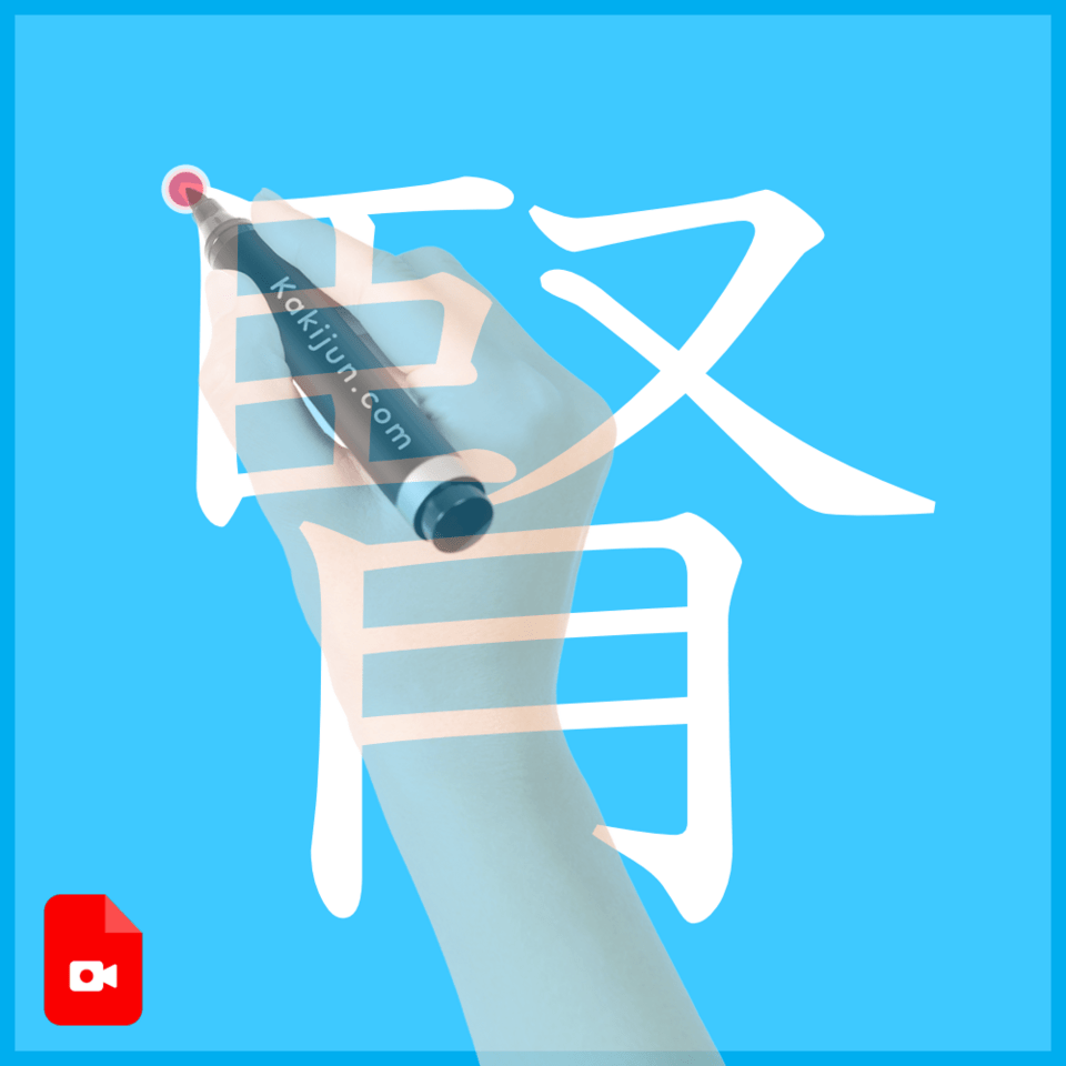 「腎」の書き方