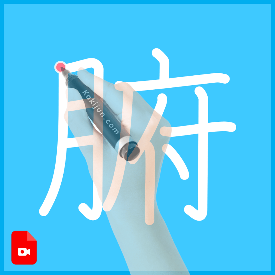 「腑」の書き方