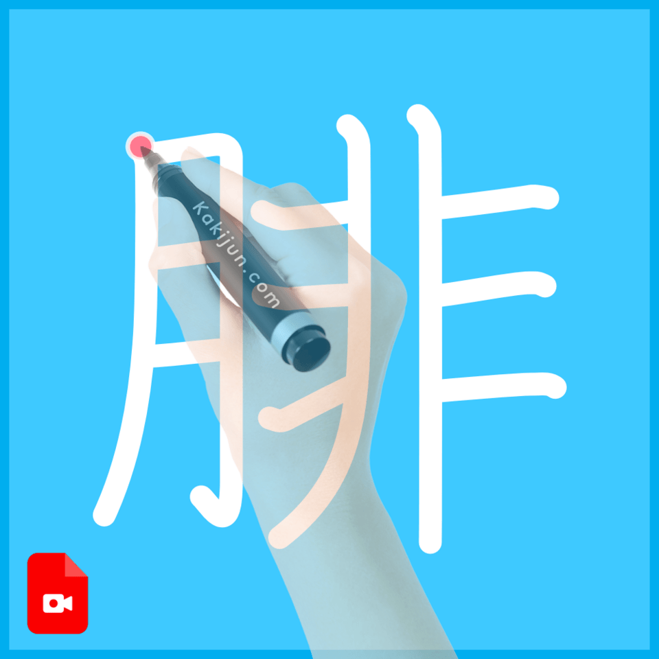 「腓」の書き順