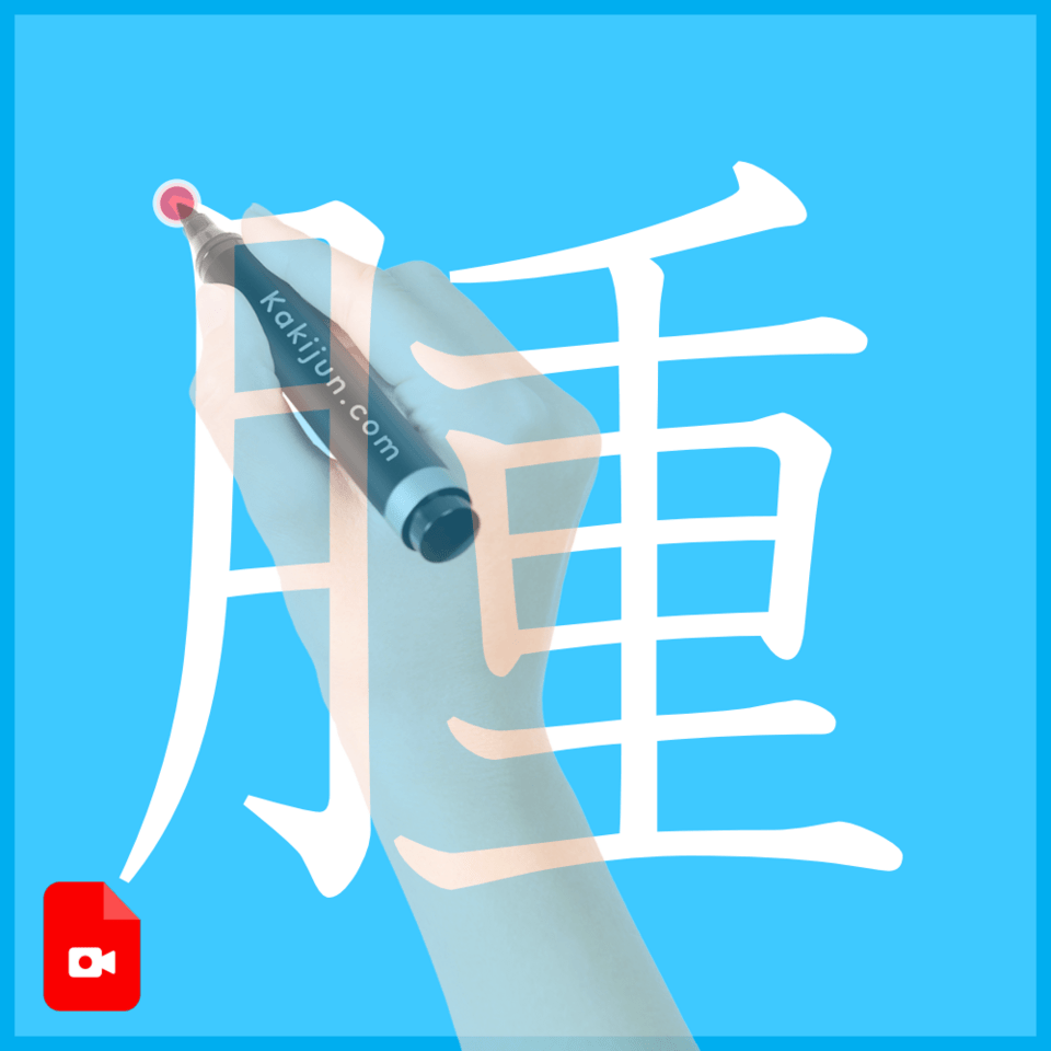 「腫」の書き方