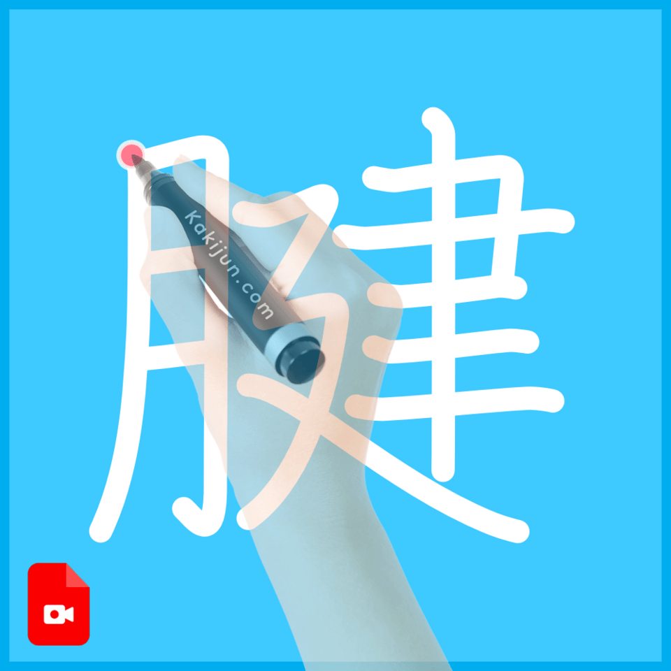 「腱」の書き順