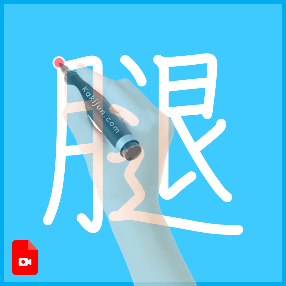 「腿」の書き順