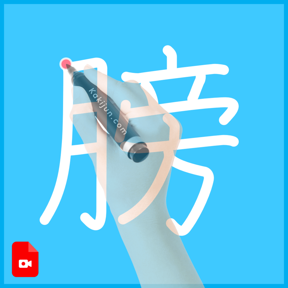 「膀」の書き方