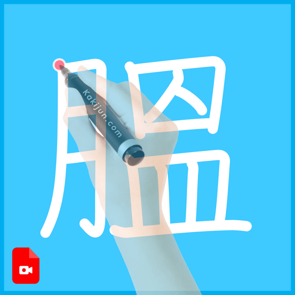 「膃」の書き順