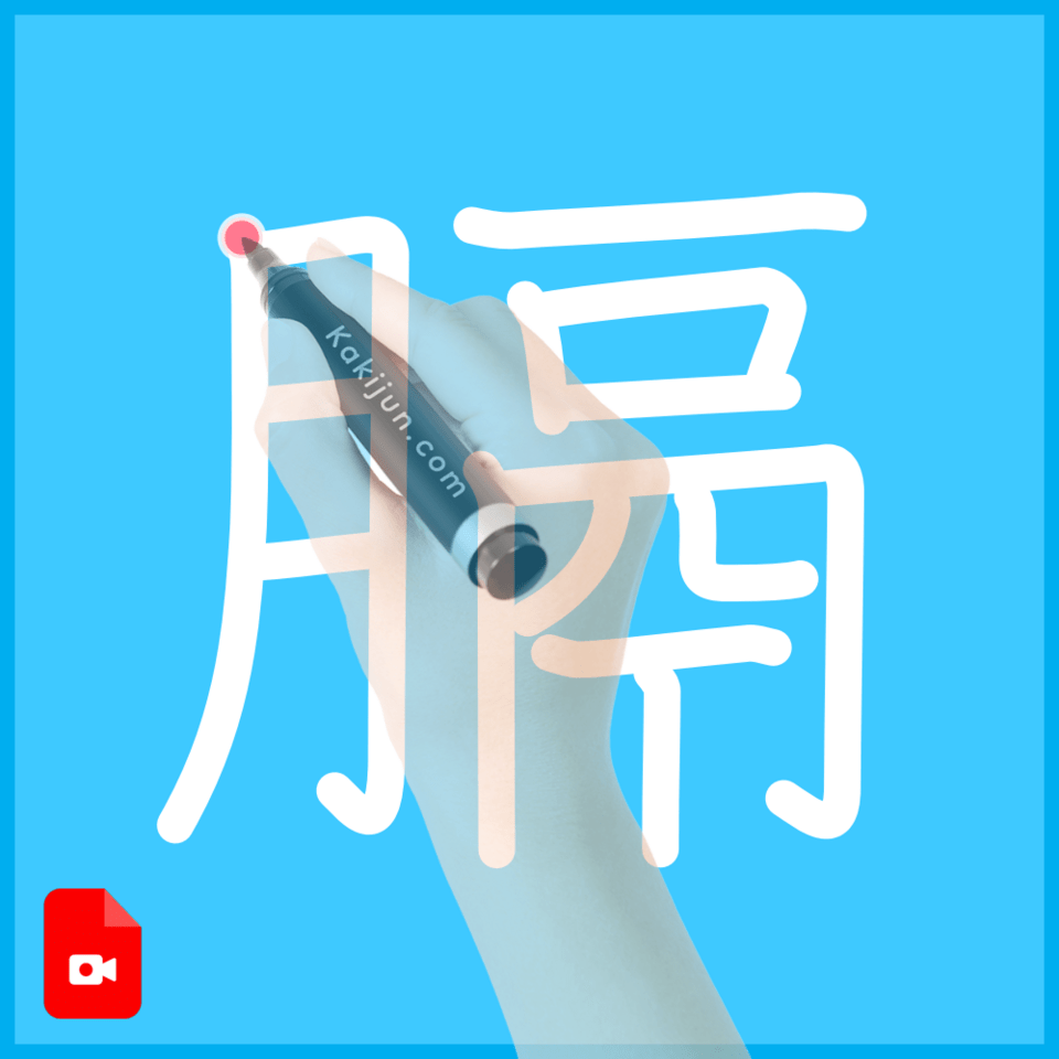 「膈」の書き方