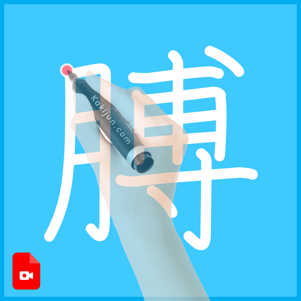 「膊」の書き順