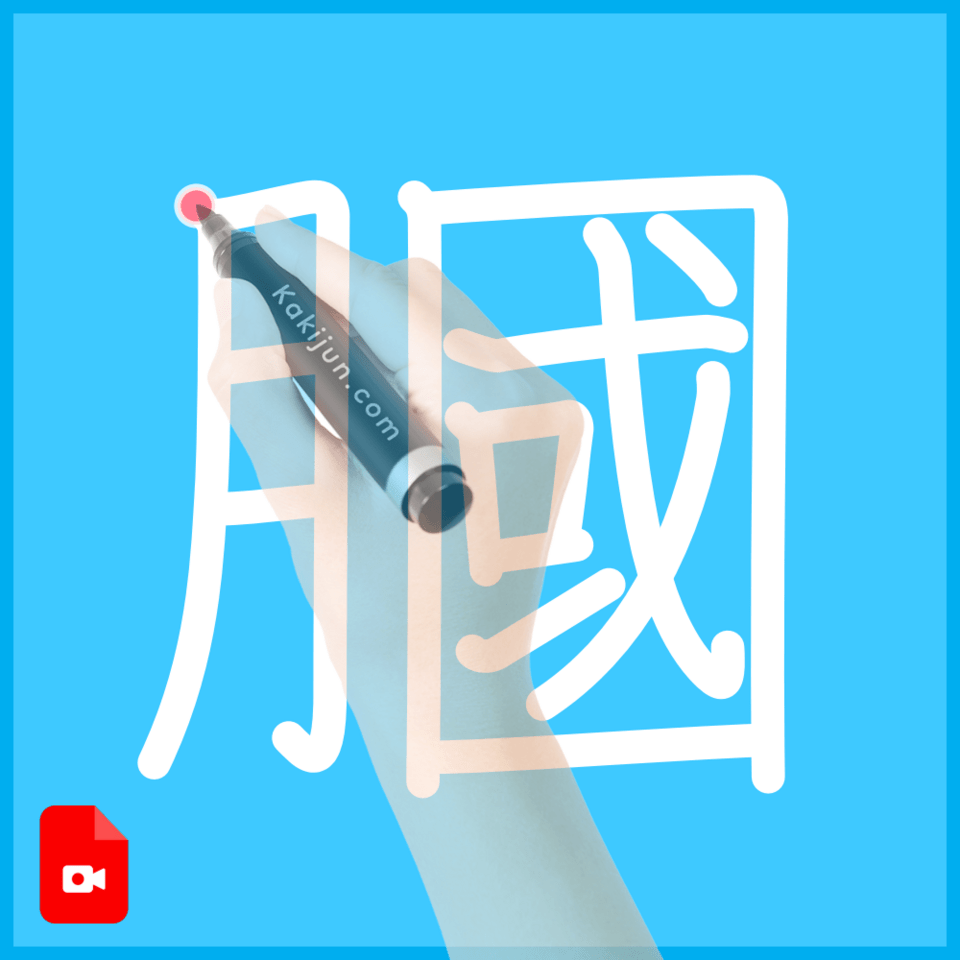 「膕」の書き順