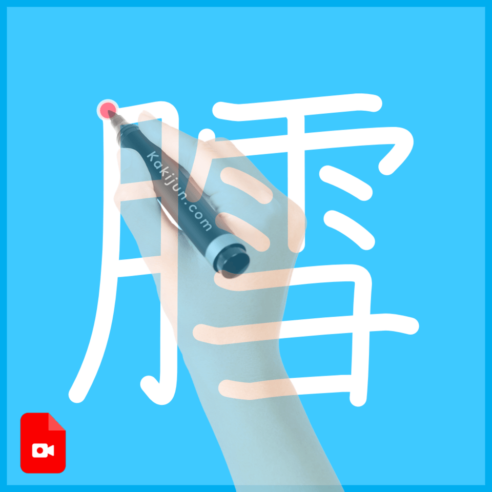 「膤」の書き順