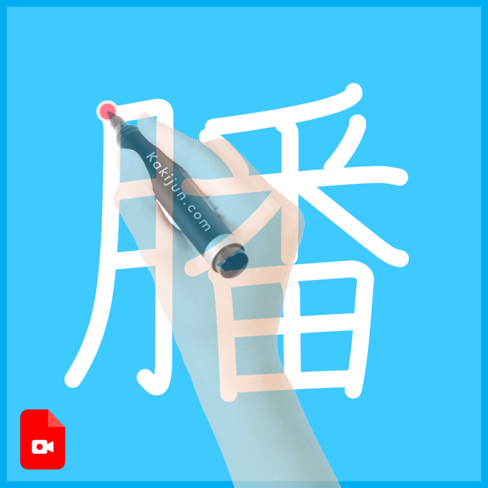 「膰」の書き順