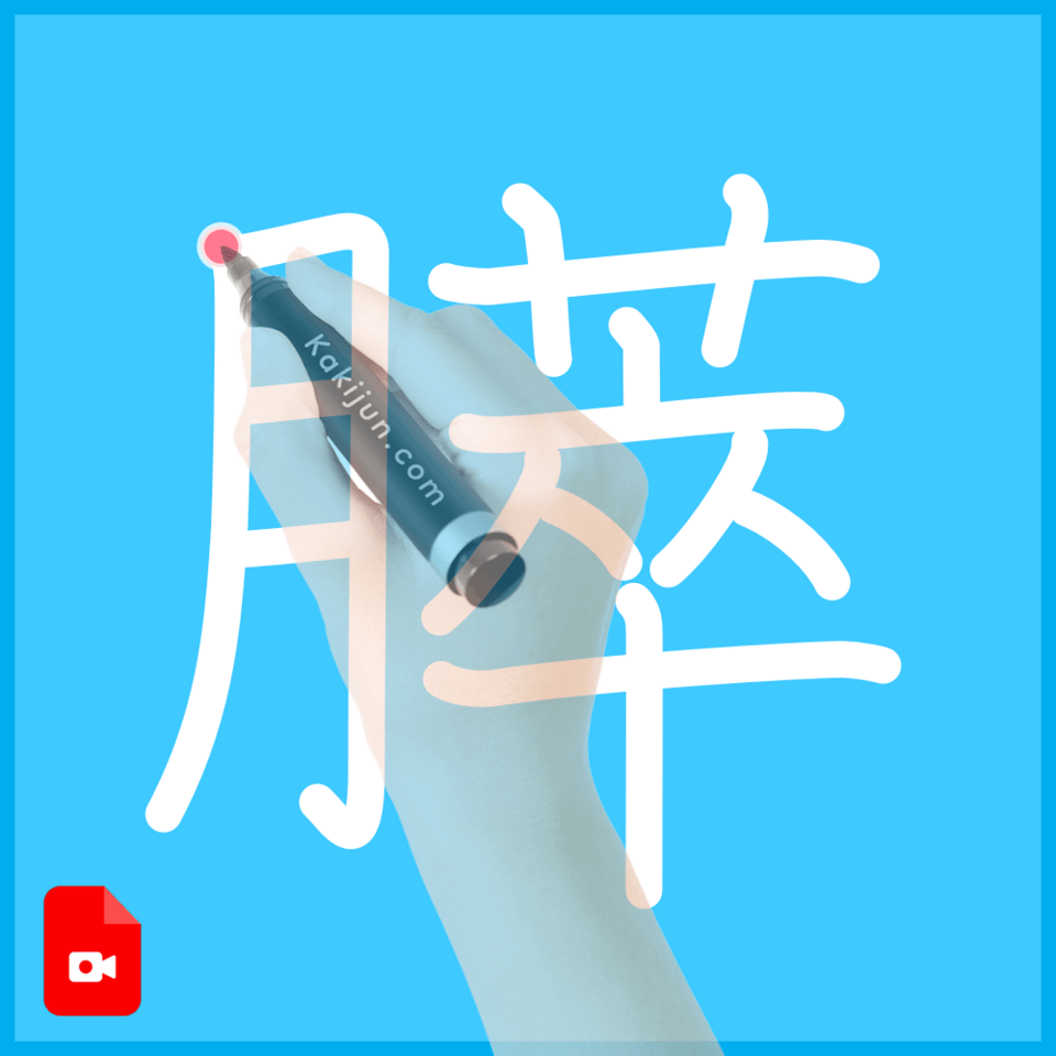 「膵」の書き順