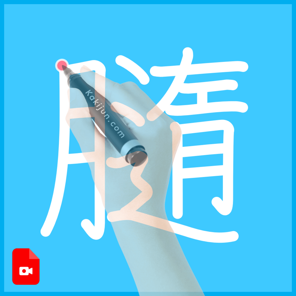 「膸」の書き順