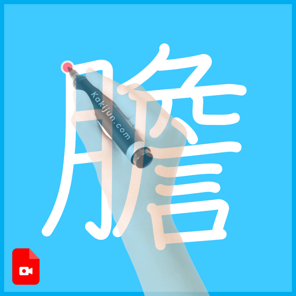 「膽」の書き方