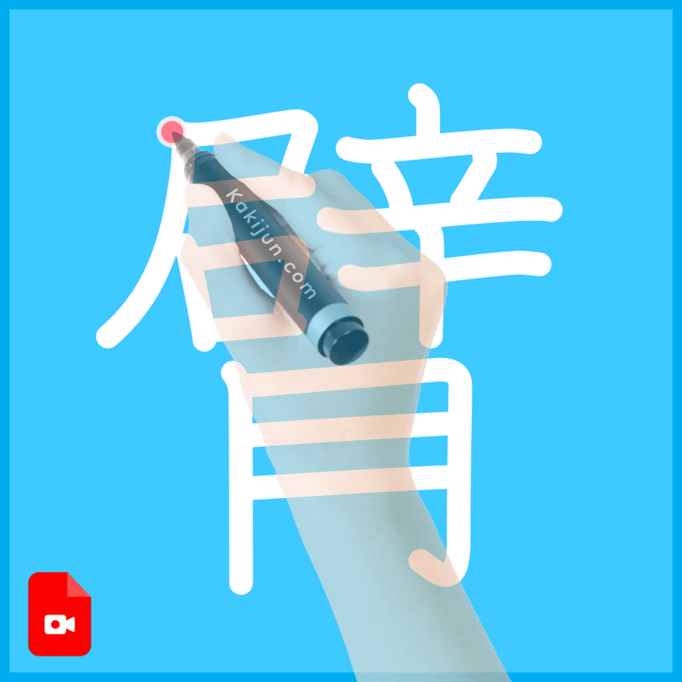 「臂」の書き方