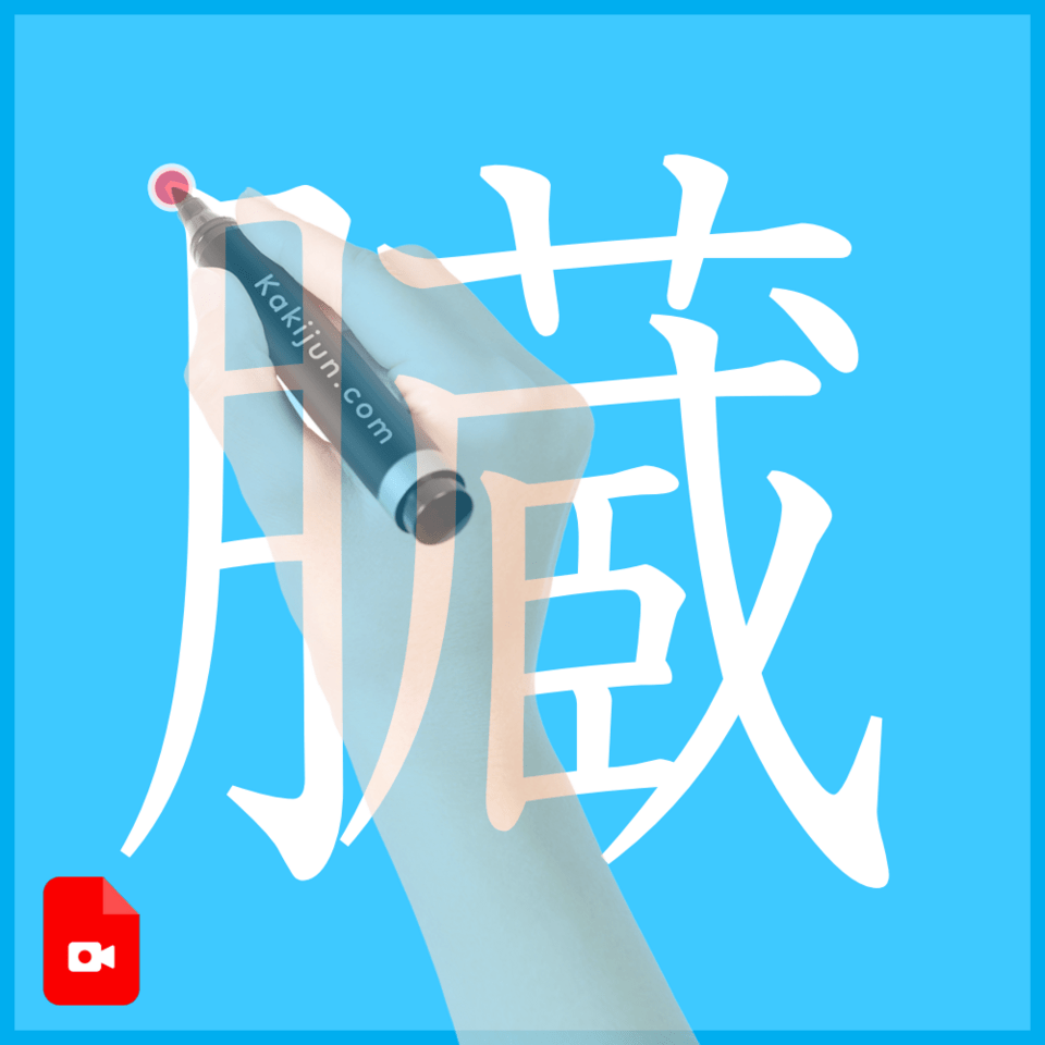 「臓」の書き方