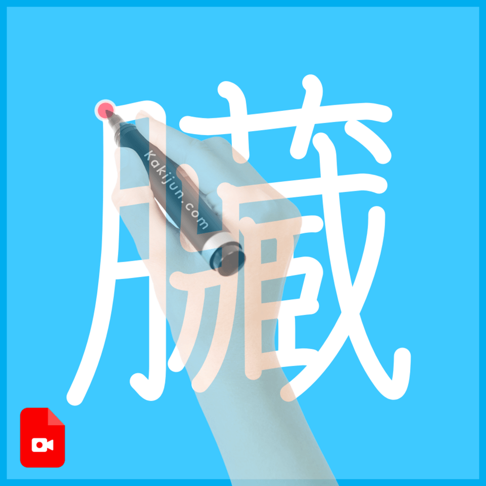 「臟」の書き順