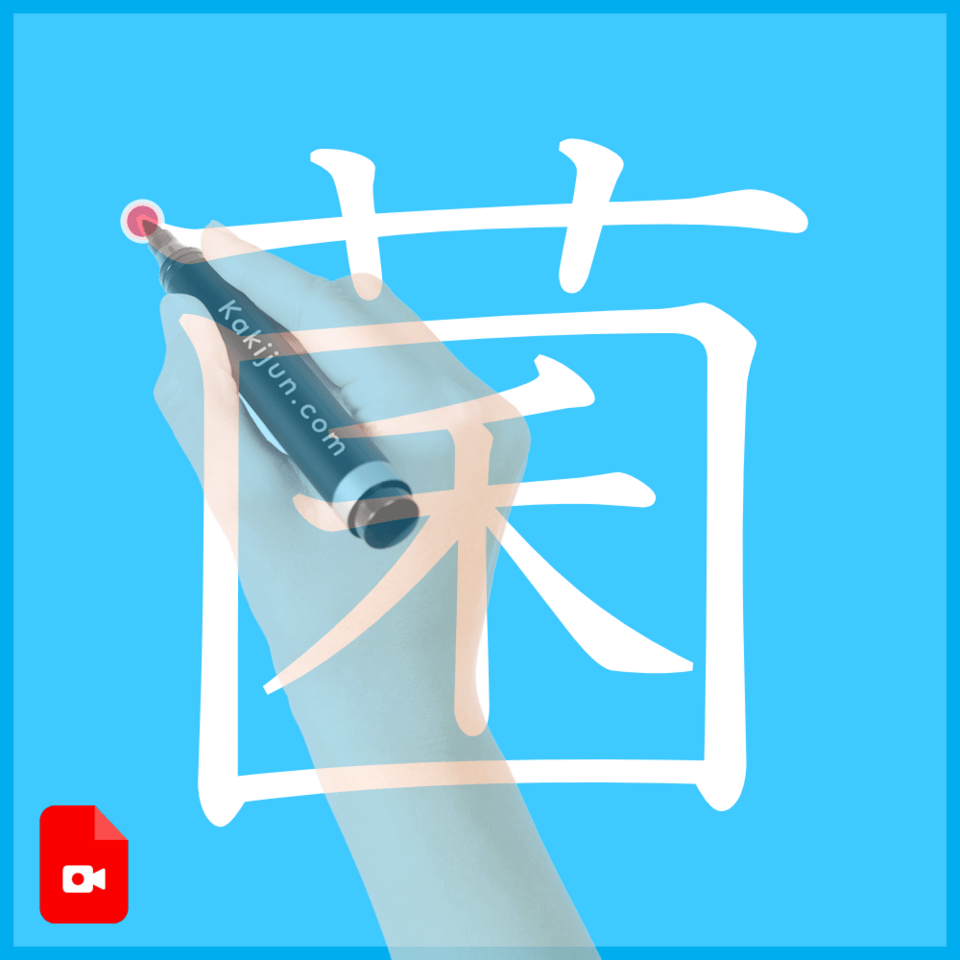 「菌」の書き方