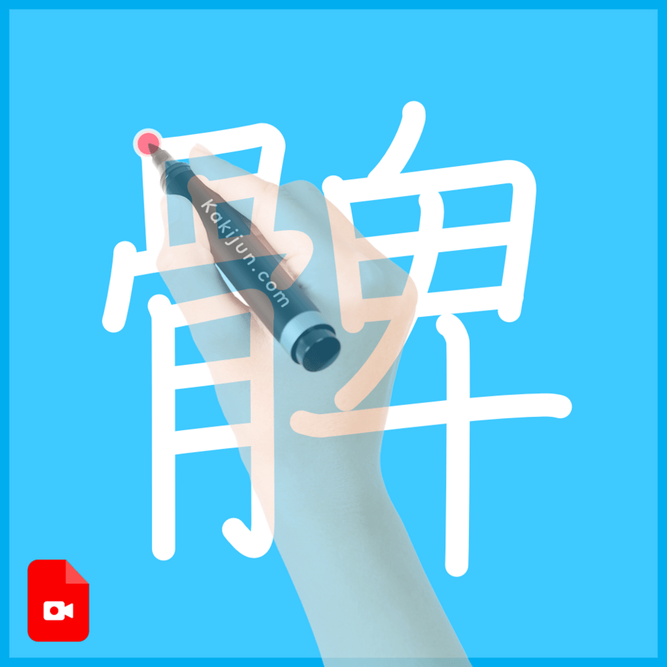 「髀」の書き方