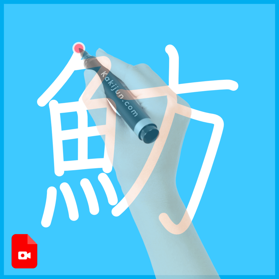 「魴」の書き順