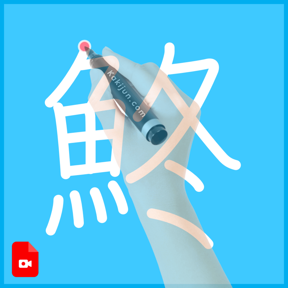 「鮗」の書き順
