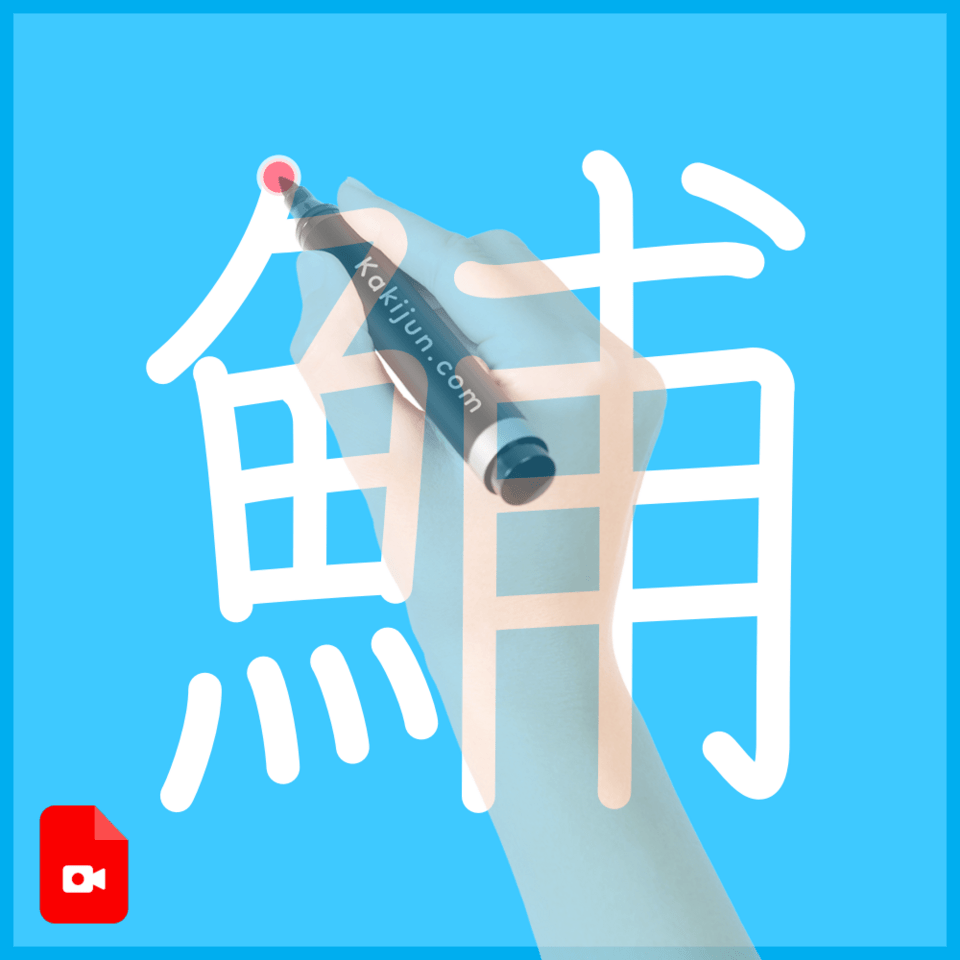 「鯆」の書き順