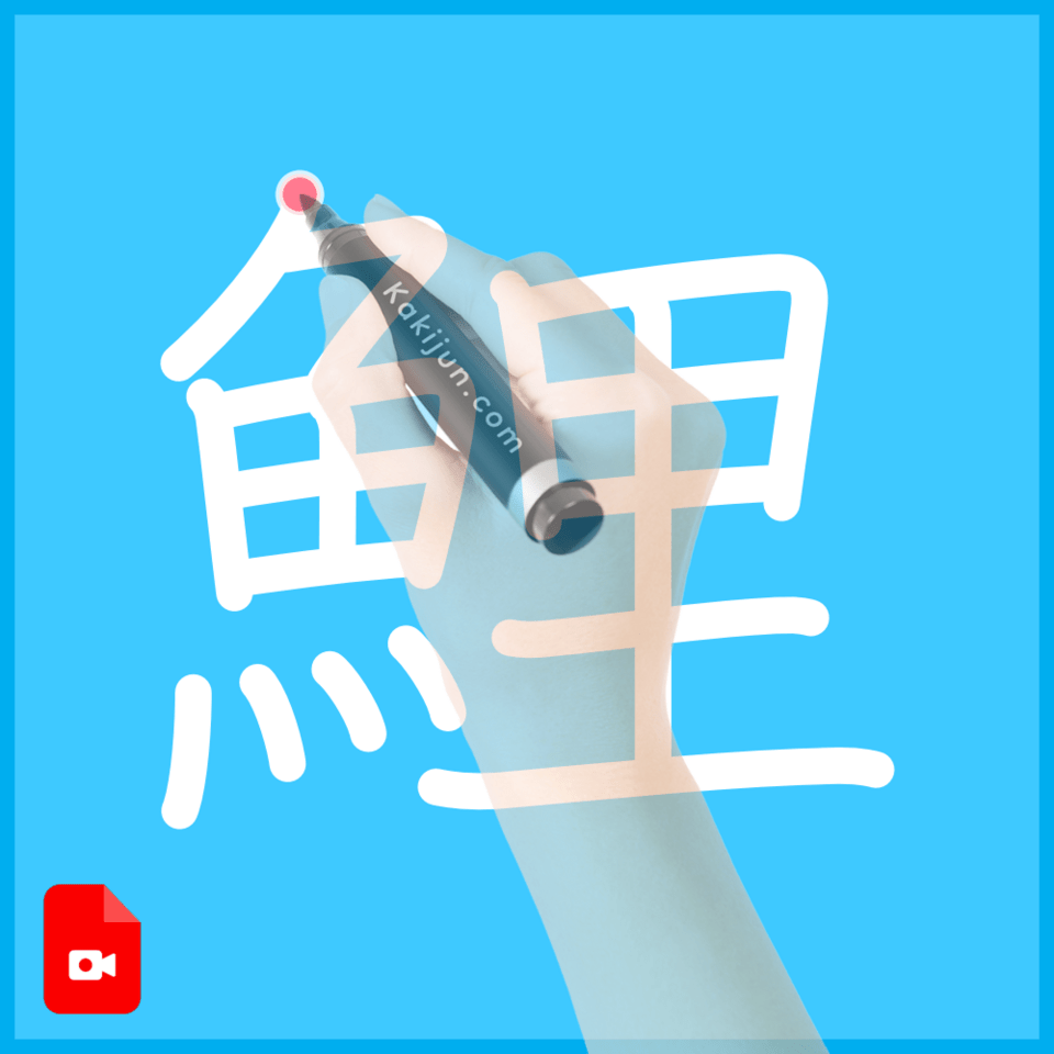 「鯉」の書き方