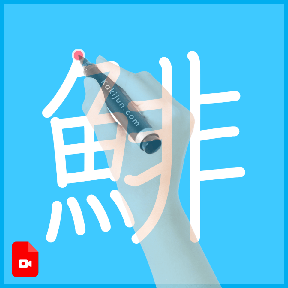 「鯡」の書き順