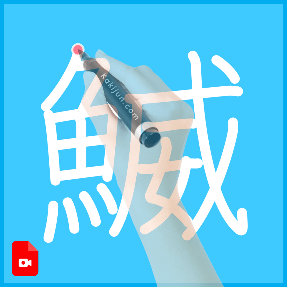 「鰄」の書き方